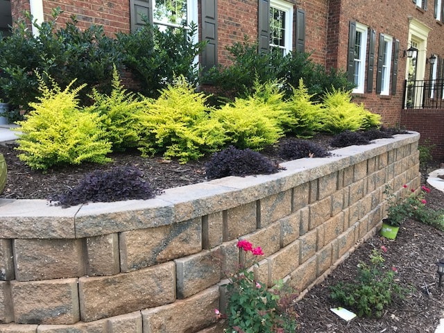 Colonial Harvest Blend Marietta