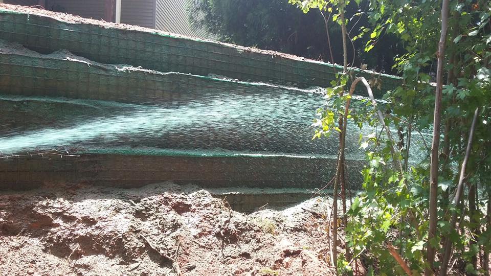 Hydro seeding