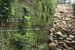 Living Wall 2