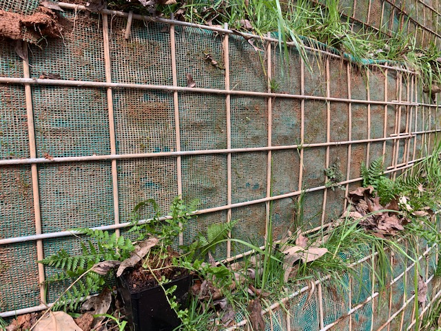 Soil Basket Planting