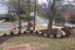 Underwood Front Yard