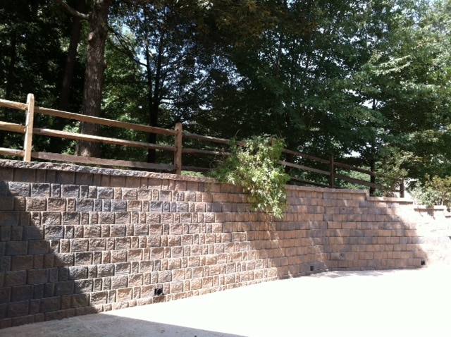 photo 3 (9)