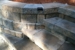 Colonial Harvest Blend Steps