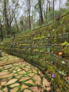 Retaining Wall With Various Plantings082123 2