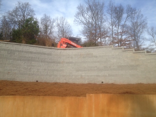 photo 3 (1)