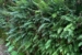 Add to Living Walls 1