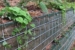 Add to Living Walls 4 (2)