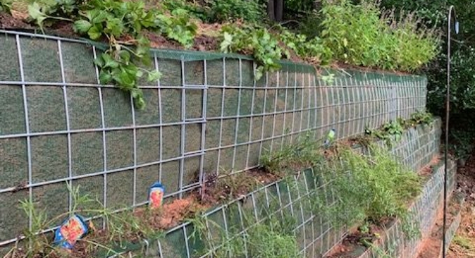 Add to Living Walls 4 (3)